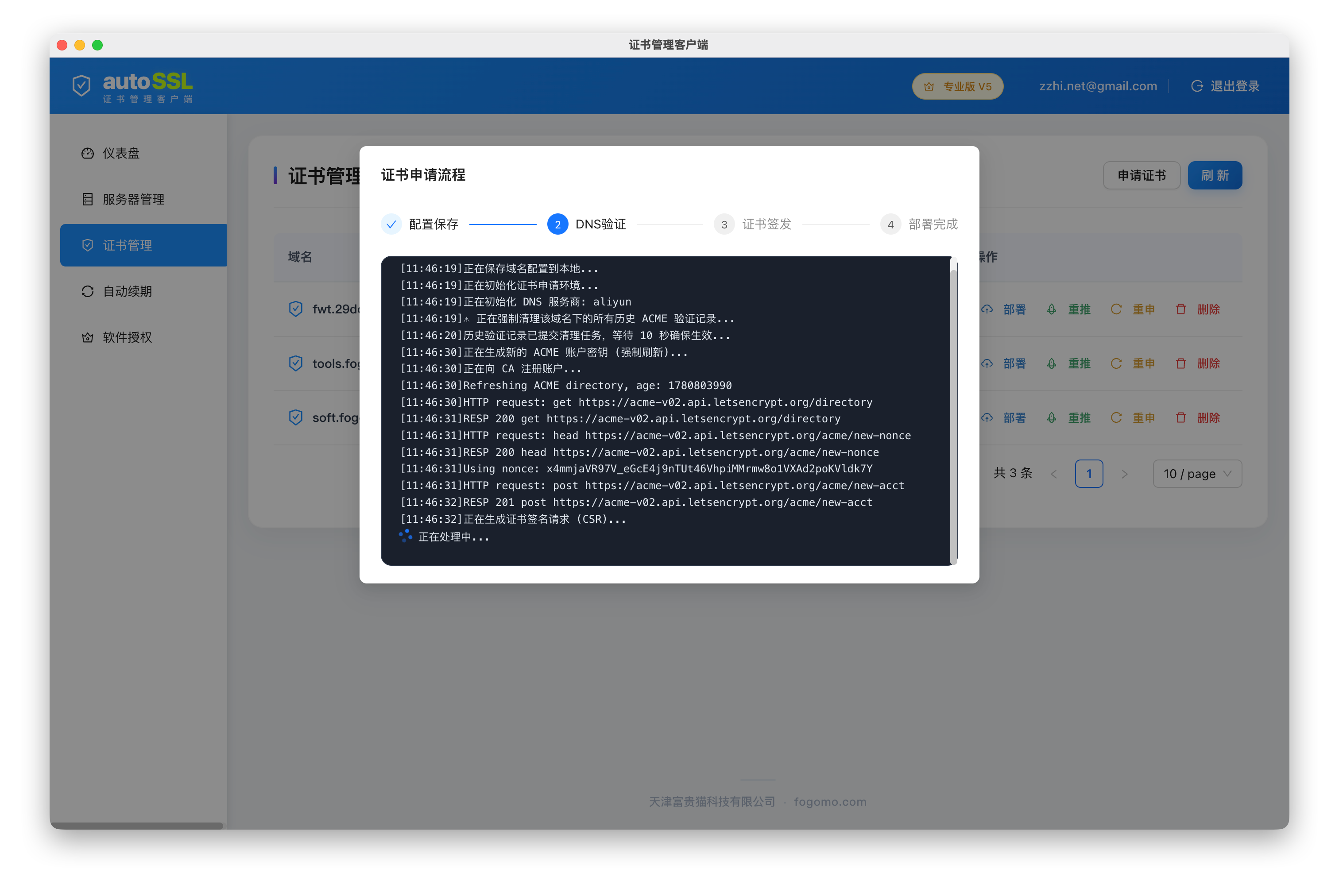 步骤 2 / DNS 验证中